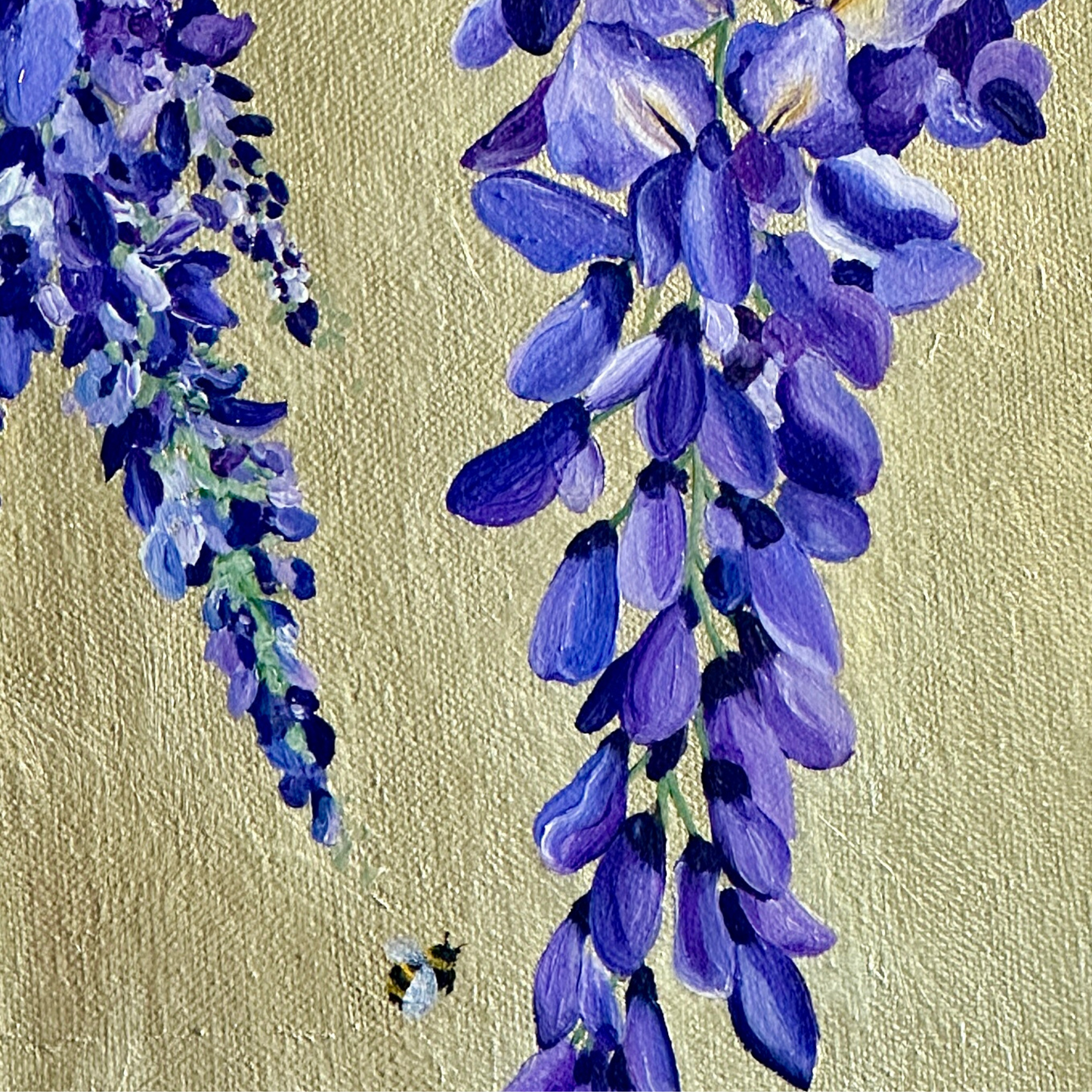 Golden Cascade | Wisteria in Bloom