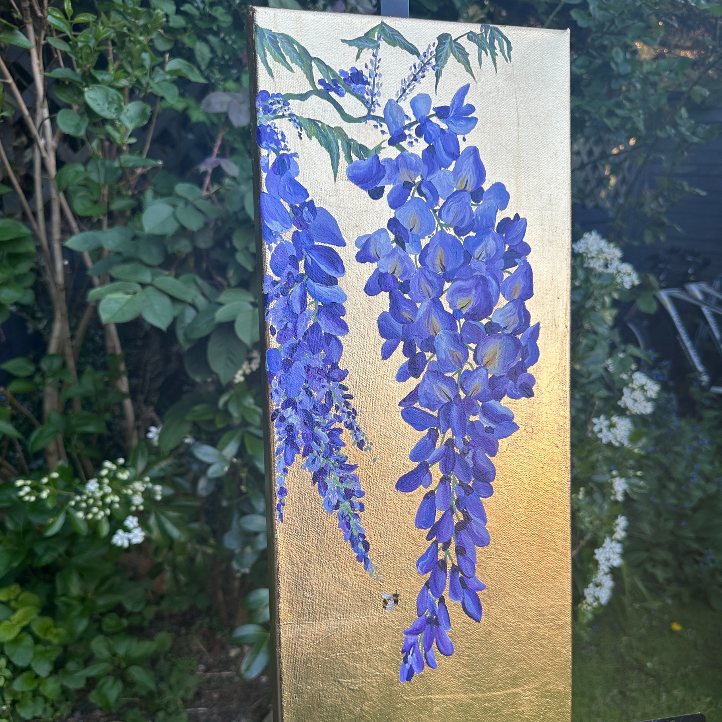 Golden Cascade | Wisteria in Bloom