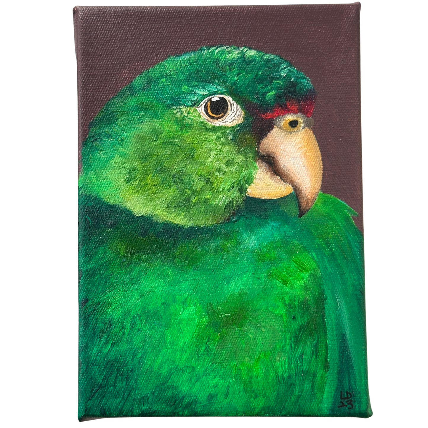 Leo the Emerald Green Macaw | Original Tropical Bird Painting on Canvas