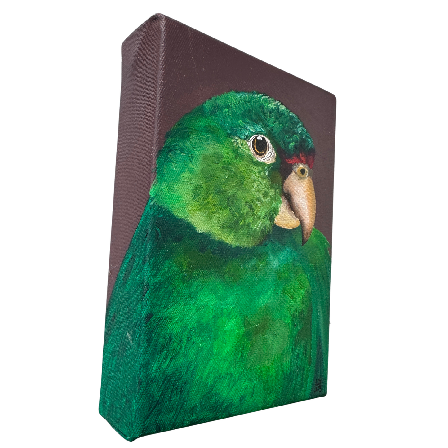 Leo the Emerald Green Macaw | Original Tropical Bird Painting on Canvas