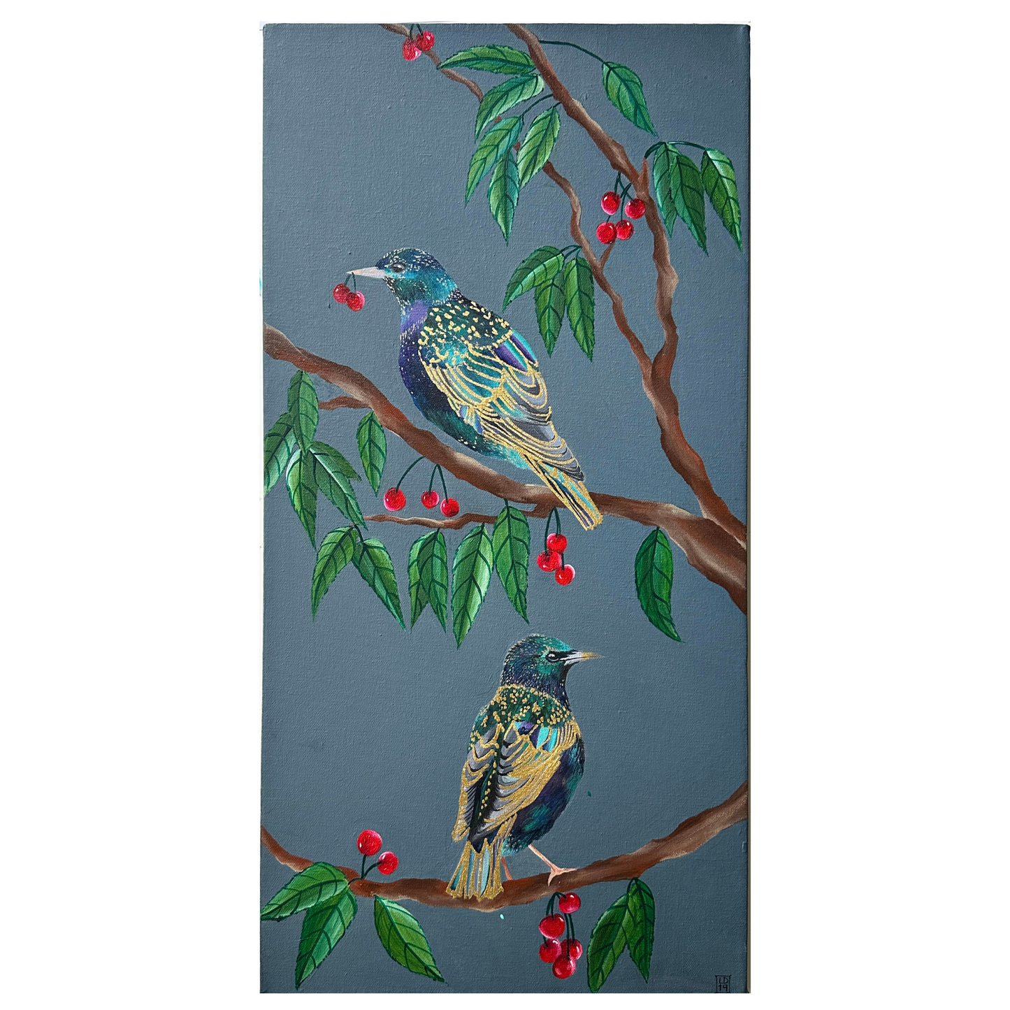two starlings in a cherry tree