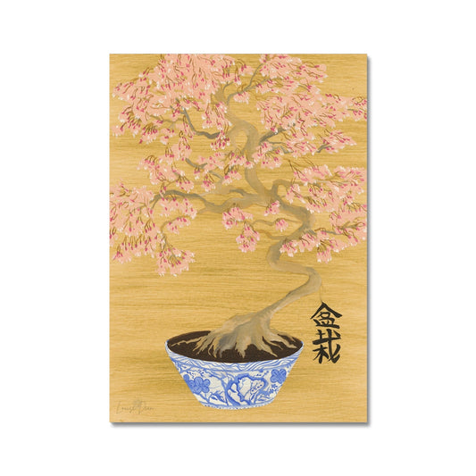 Bonsai - Fine Art Print