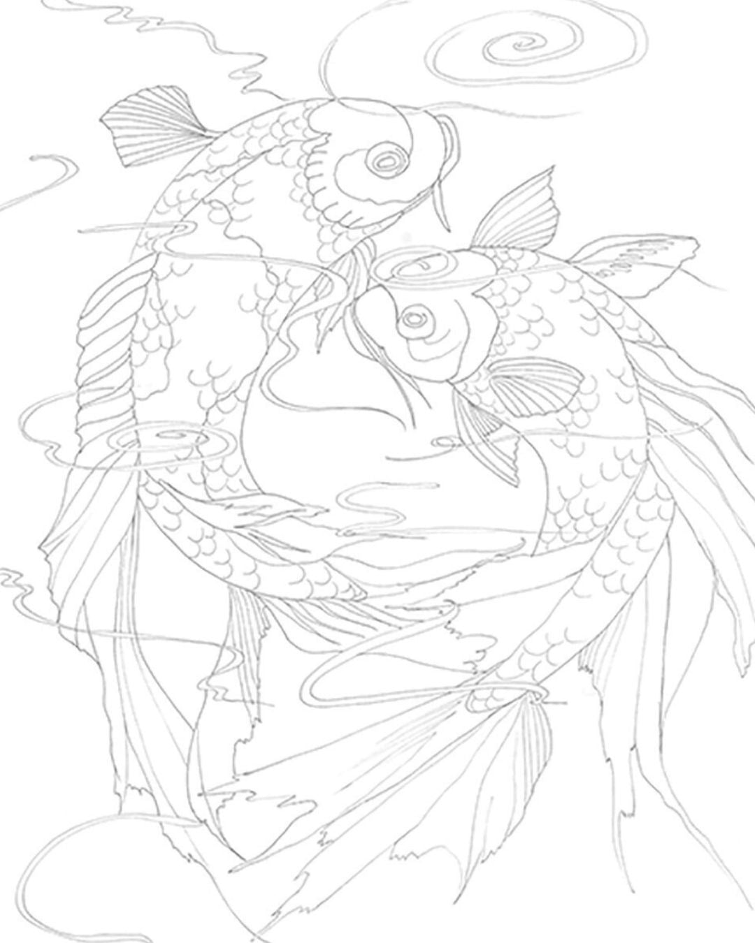 Line drawing of two koi fish with a minimal background