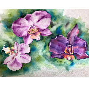 Watercolour painting - Orchids
