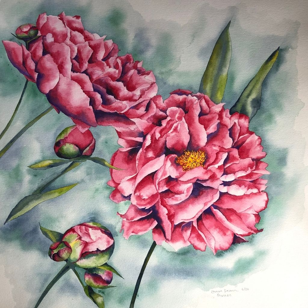 Watercolour painting - Peonies
