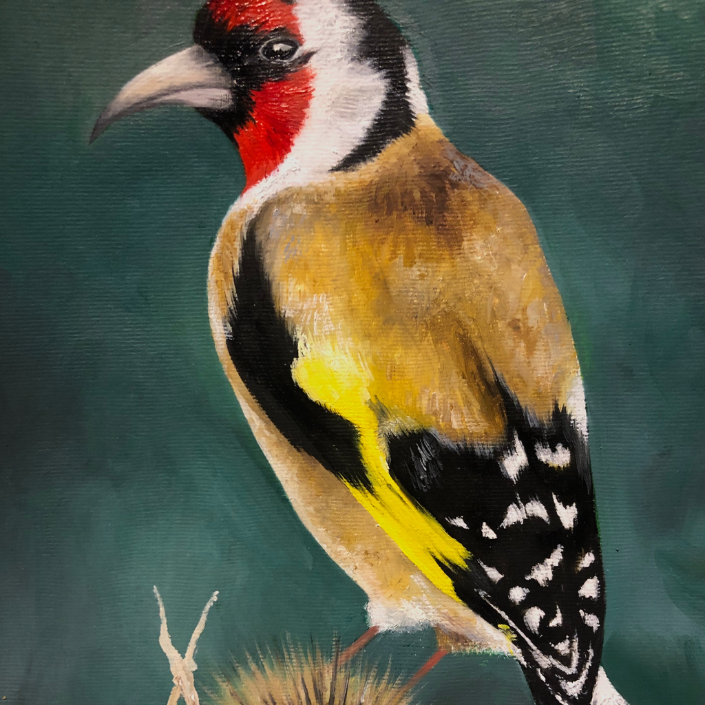The Goldfinch - Framed Oil Painting
