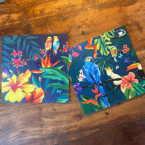 Greetings Cards x 4 - Tropical theme